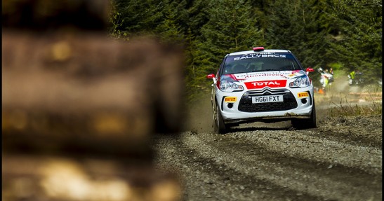 Pirelli Rally